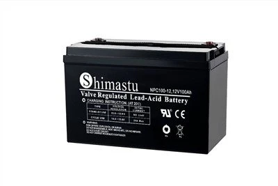 12V100Ah VRLA Deep Cycle Batterie