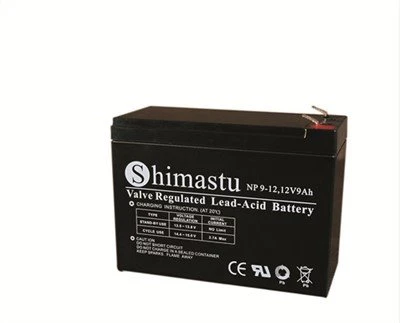 12V 9Ah Akku wiederaufladbar